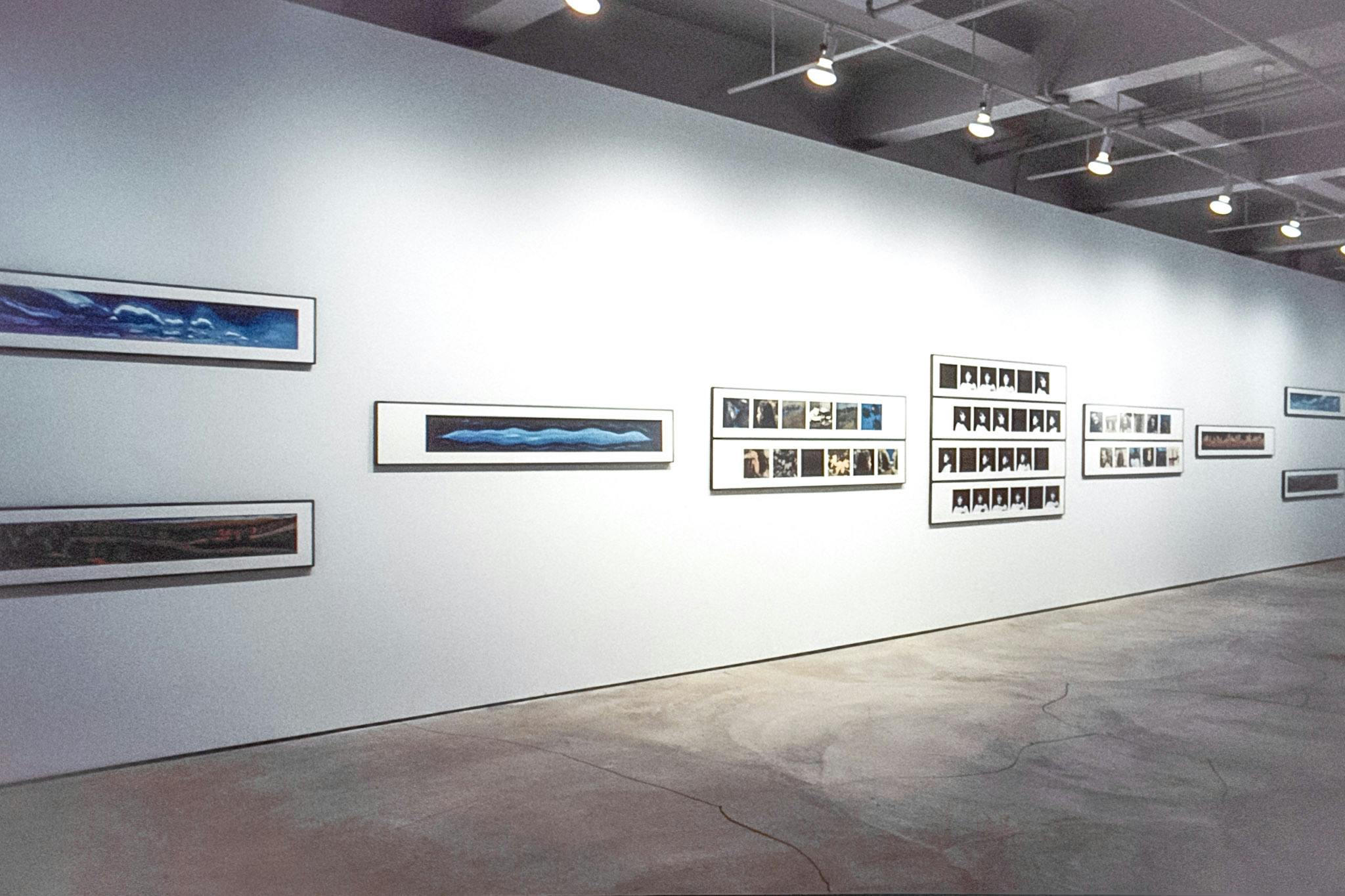 An installation view of the gallery shows photograph pieces mounted on a wall. Some of these photographs have a narrow-wide shape, in which blue wavy shapes are depicted in a dark background.
