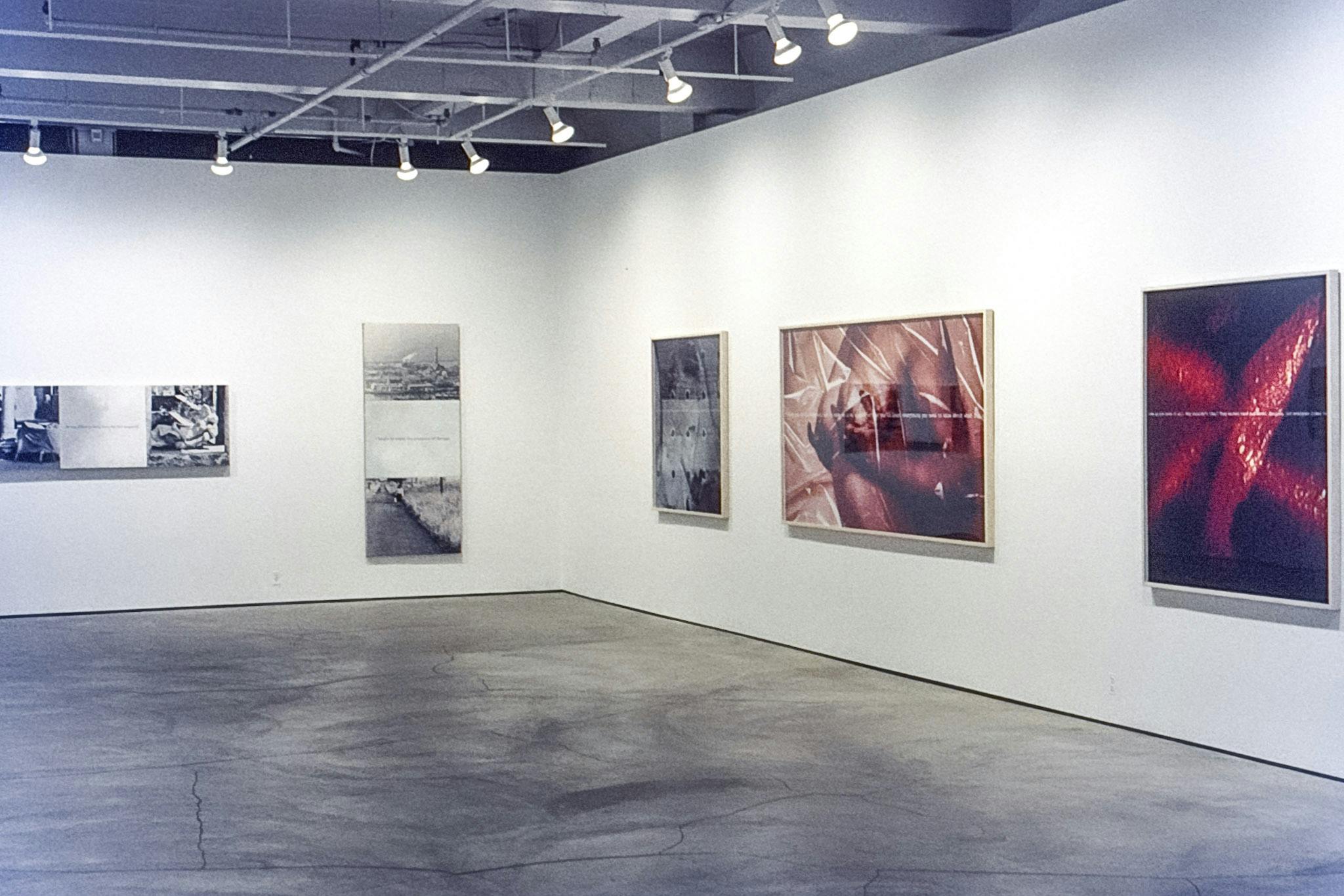 Five photo pieces mounted on the gallery walls. Three of them are black and white, and the rest are colored; one depicts a naked woman holding her breasts, and the other depicts red organic shapes. 