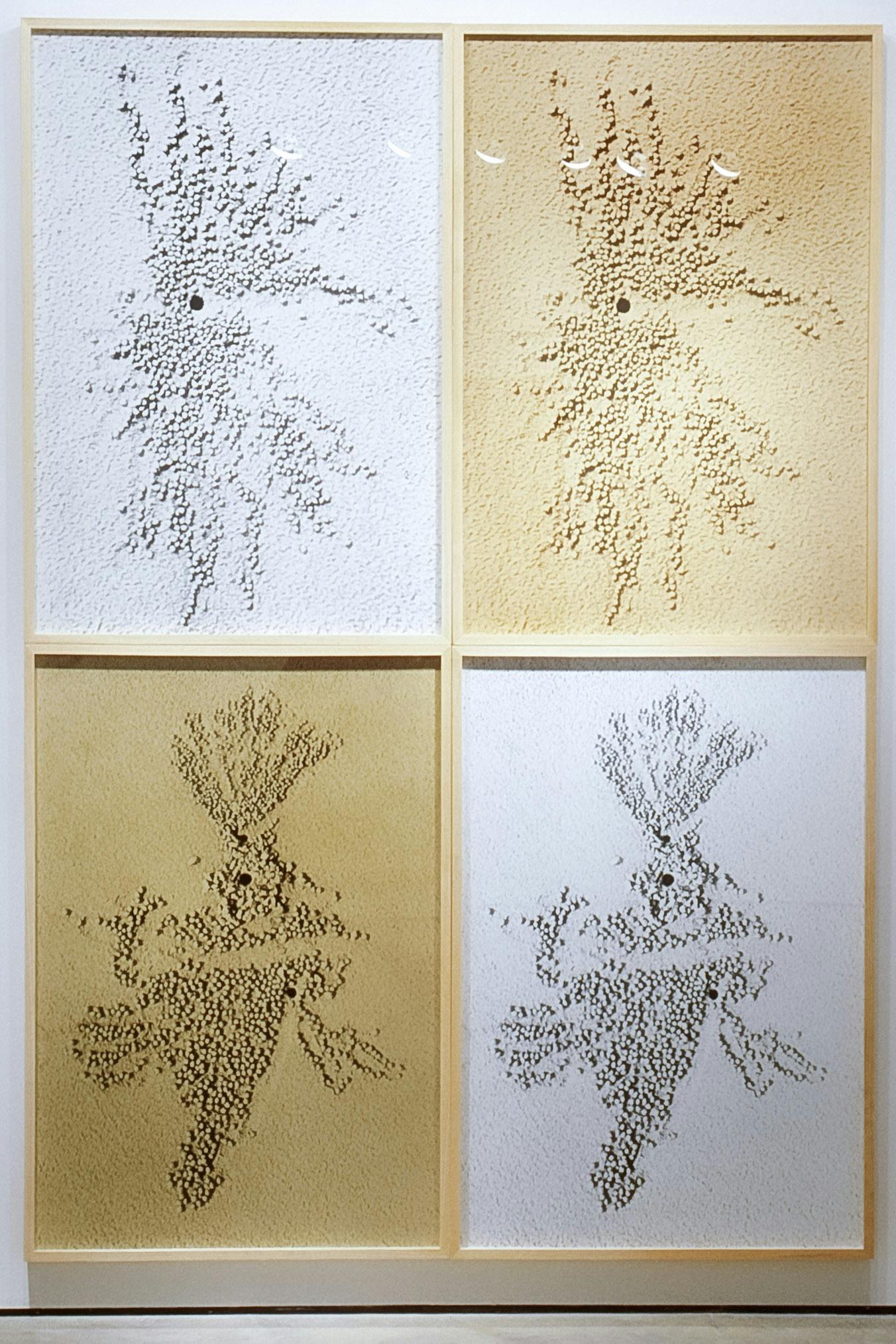 Four pictures are mounted on the gallery wall. Two of them have identical images, so does another pair. They show abstract figures drawn on sand. Two are silver, and the others are copper-coloured. 