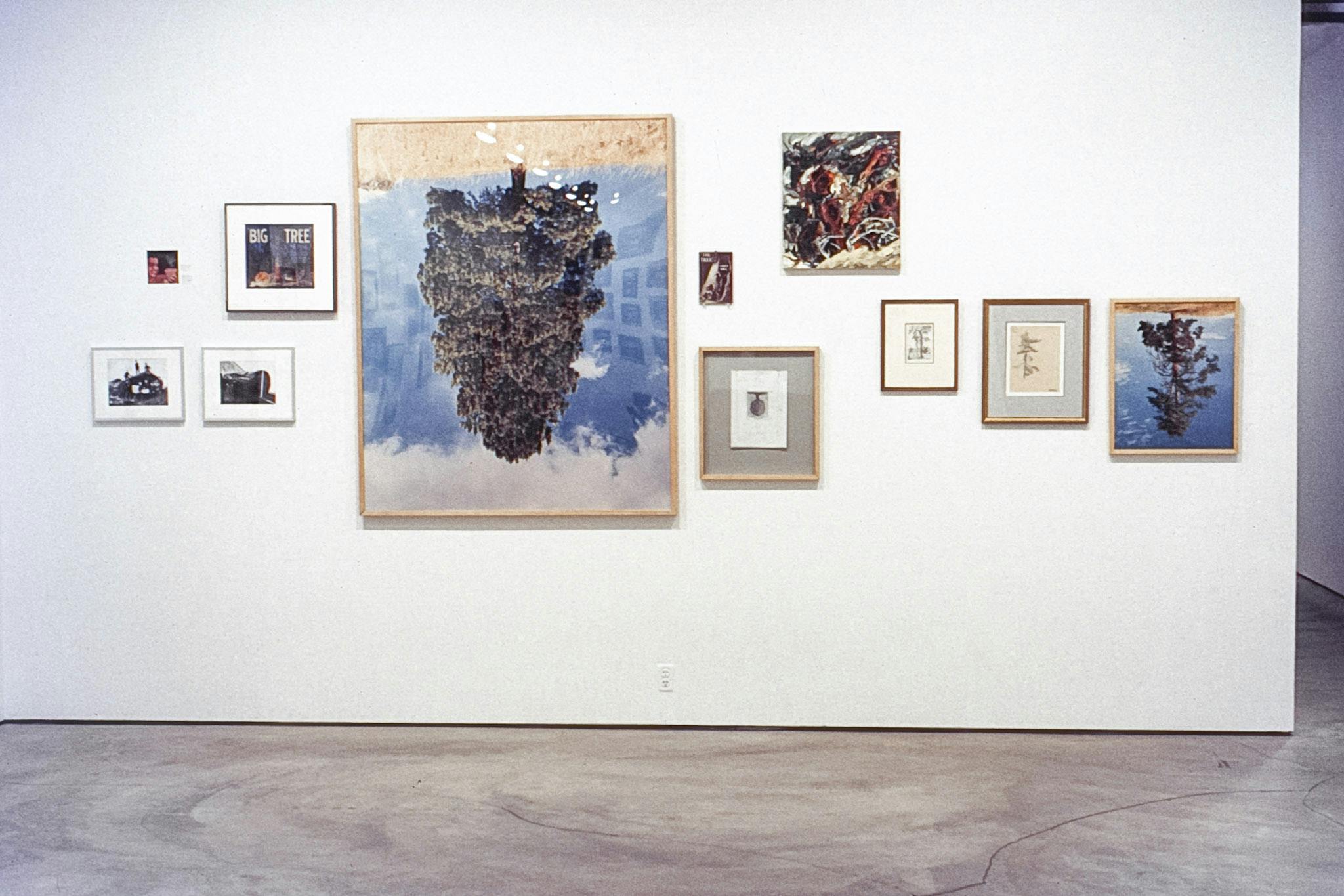 11 works mounted on a white wall. The works are placed asymmetrically, many of them in wood frames. One work reads "Big Tree." Beside it, there is a large photo of an upside-down tree and a blue sky.