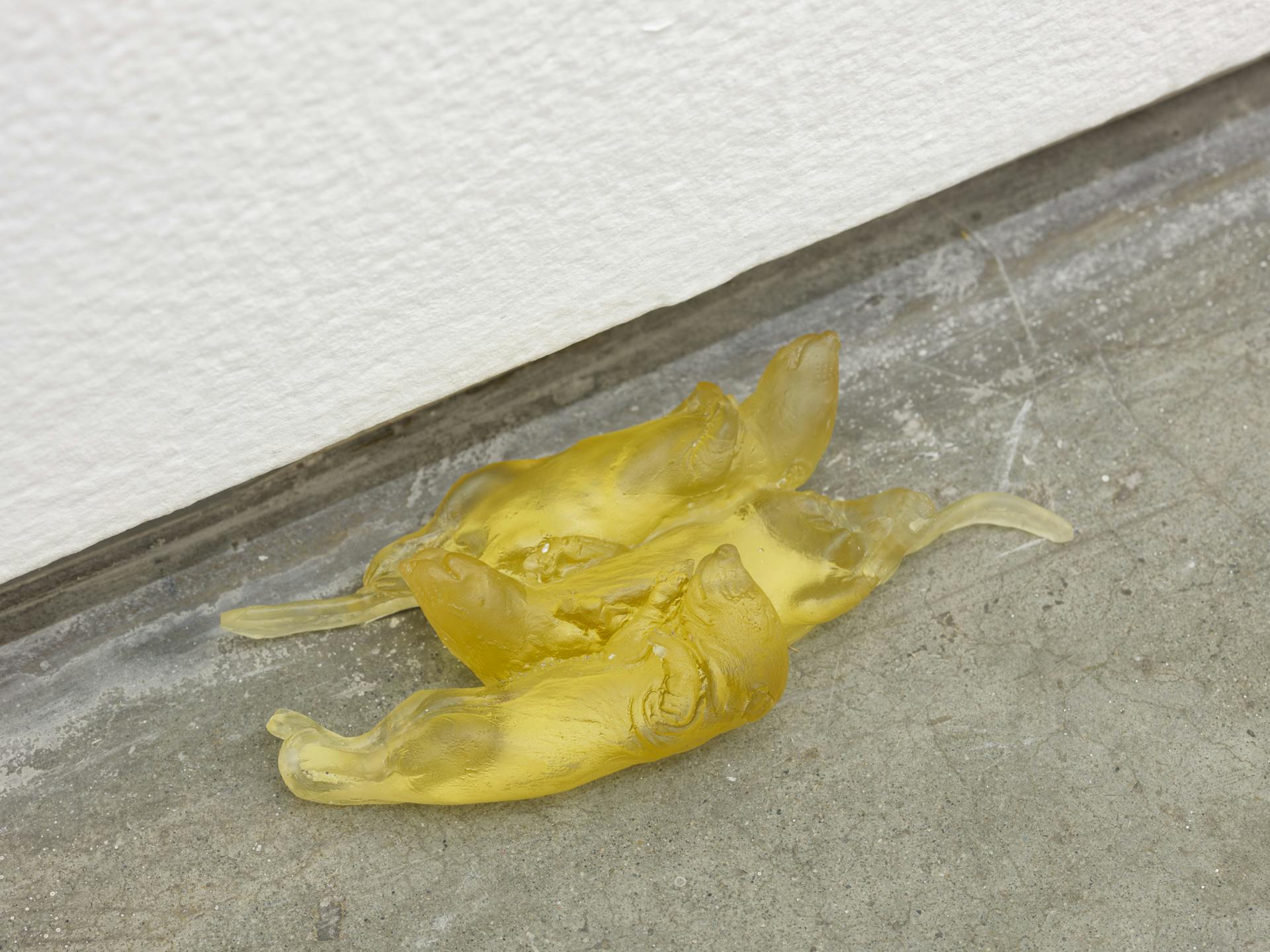A yellow-coloured cast glass sculpture depicting three rat pups sits near the edge of the floor and the wall.