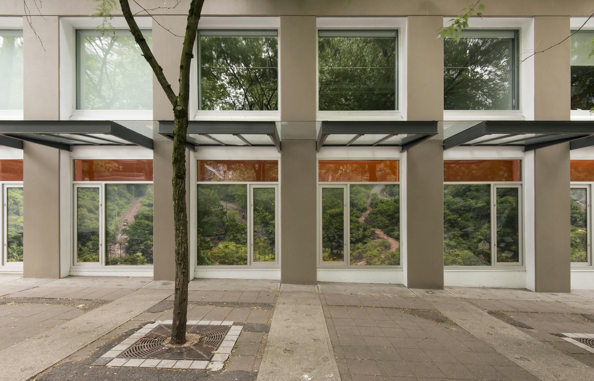 An exterior image of CAG’s façade windows with a panoramic photograph in vinyl of a rainforest landscape installed over an orange background.