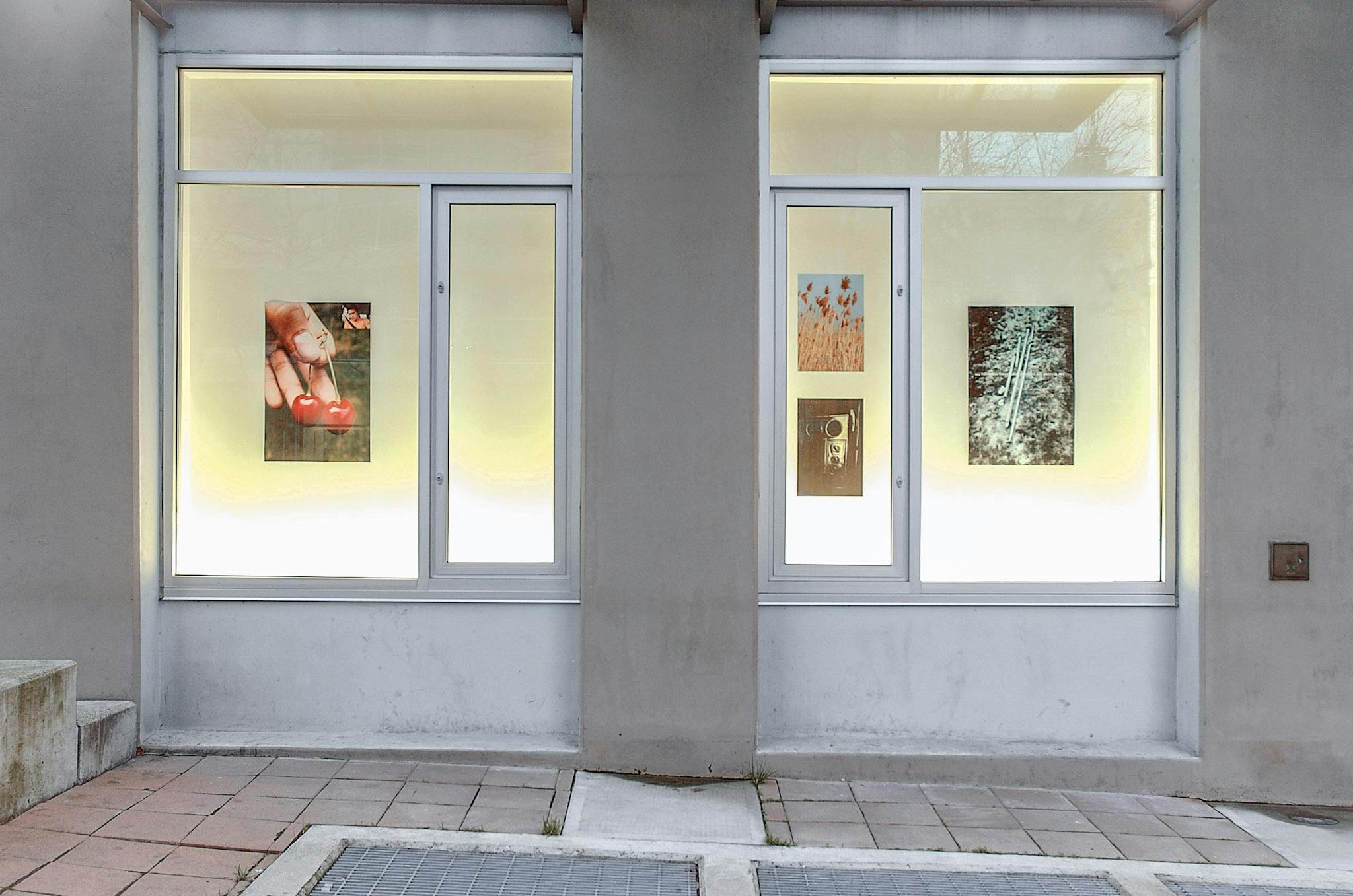 Four posters are mounted on the walls behind the windows on the CAG exterior. They are all coloured photographs taken in a natural environment. 