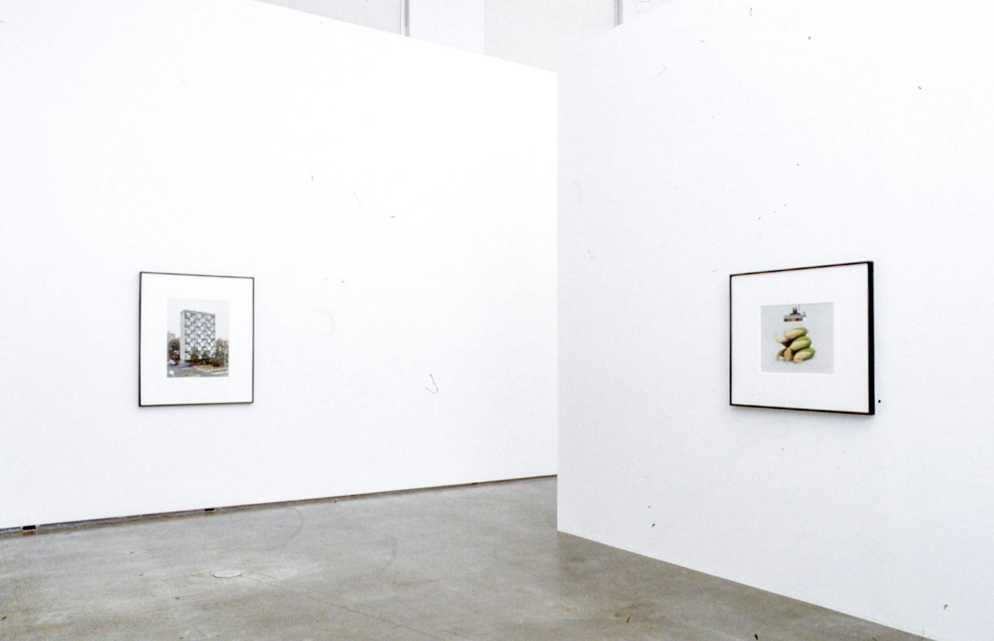 An installation image of two coloured photographs on gallery walls. The photograph on the right-hand side shows a pile of six corn cabs. The one on the left shows an apartment building. 