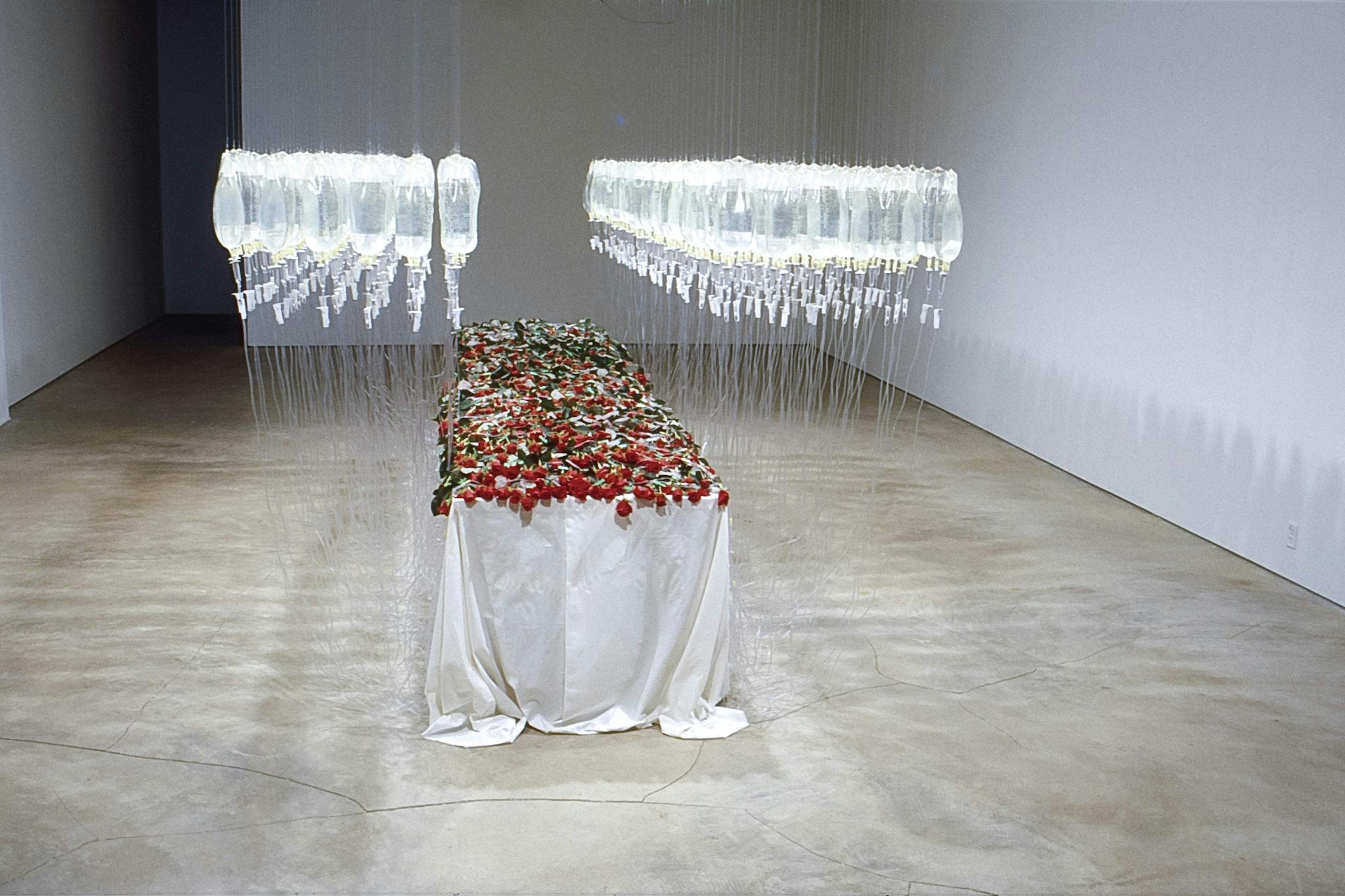 A person-sized art installation is in the gallery. It is a bed covered by a white sheet. Dozens of red roses, which are tied to the infusion bags hanging from the ceiling, are placed on the bed.