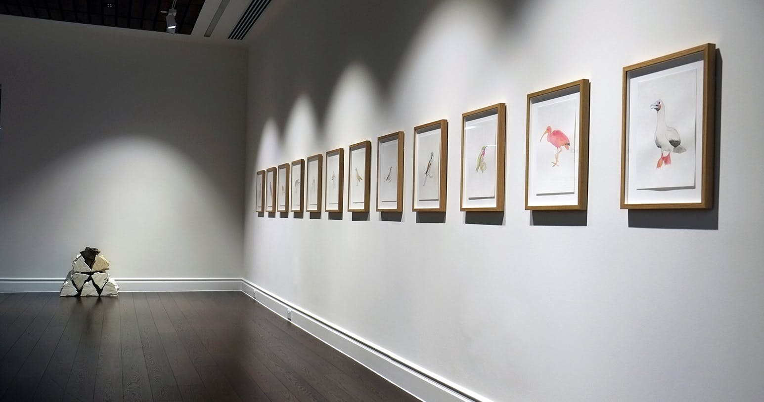 Twelve framed small scale paintings hang in a vertical line on a gallery wall. The watercolours depict various migratory birds. To the left, a pile of plaster cast wooden logs sit on the floor.