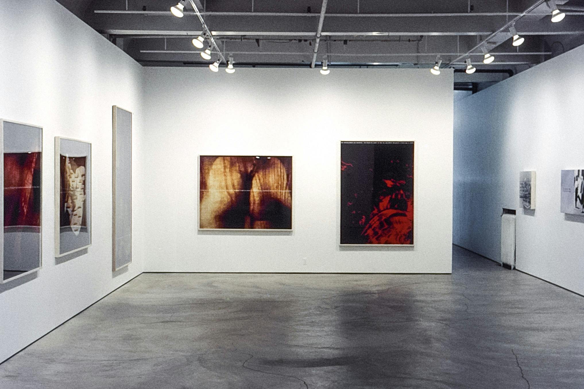 A photo of the installation view in the gallery. Seven photograph pieces are visible; five of them have dark backgrounds foregrounded by organic shapes. The rest are black and white photographs.