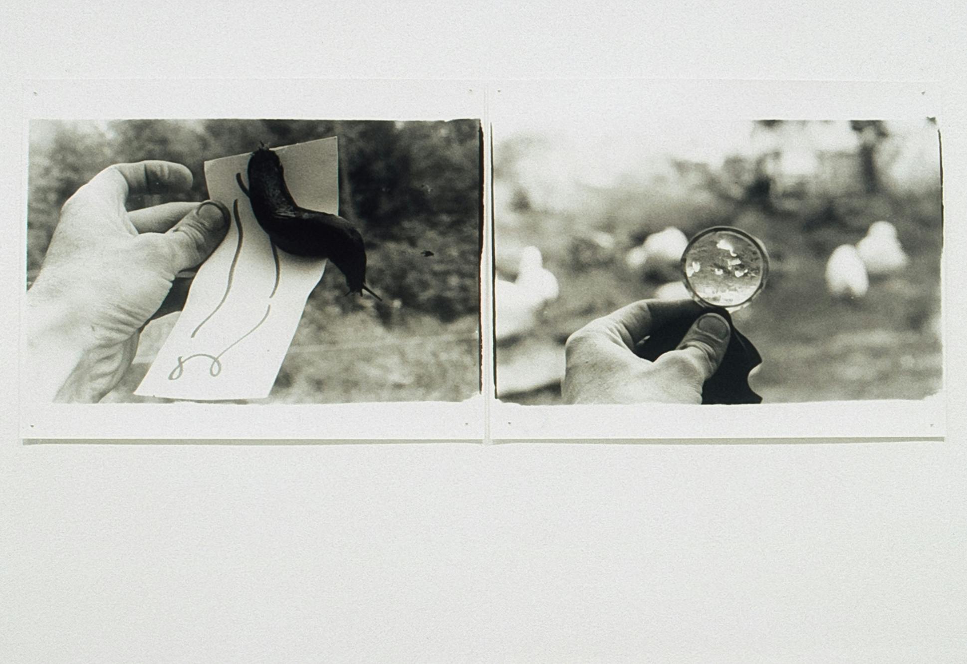 Two black & white photographs side by side. One depicts a hand holding a piece of paper on which a slug is perched and the other depicts a hand with a small magnifying glass over a blurry background. 
