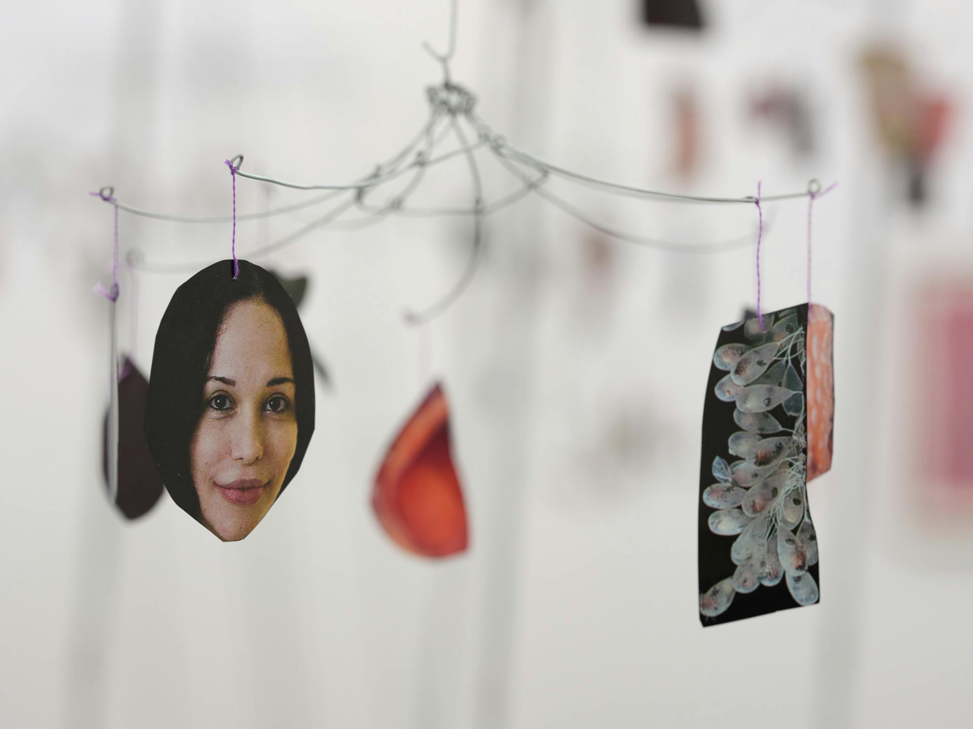 Paper cutouts hang from thin metal wires, most prominently a photo of a woman's face.