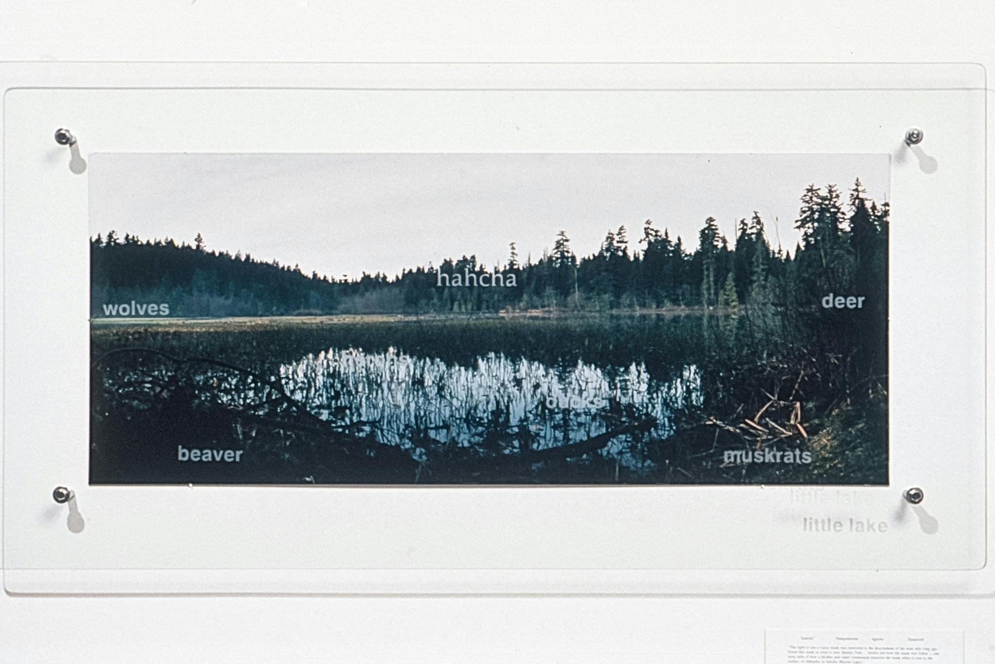 A panoramic photo of a landscape mounted on a wall between 2 panes of glass. The pane on top is engraved with "hahcha" an adaptation of the traditional Squamish name for Beaver Lake in Stanley Park.