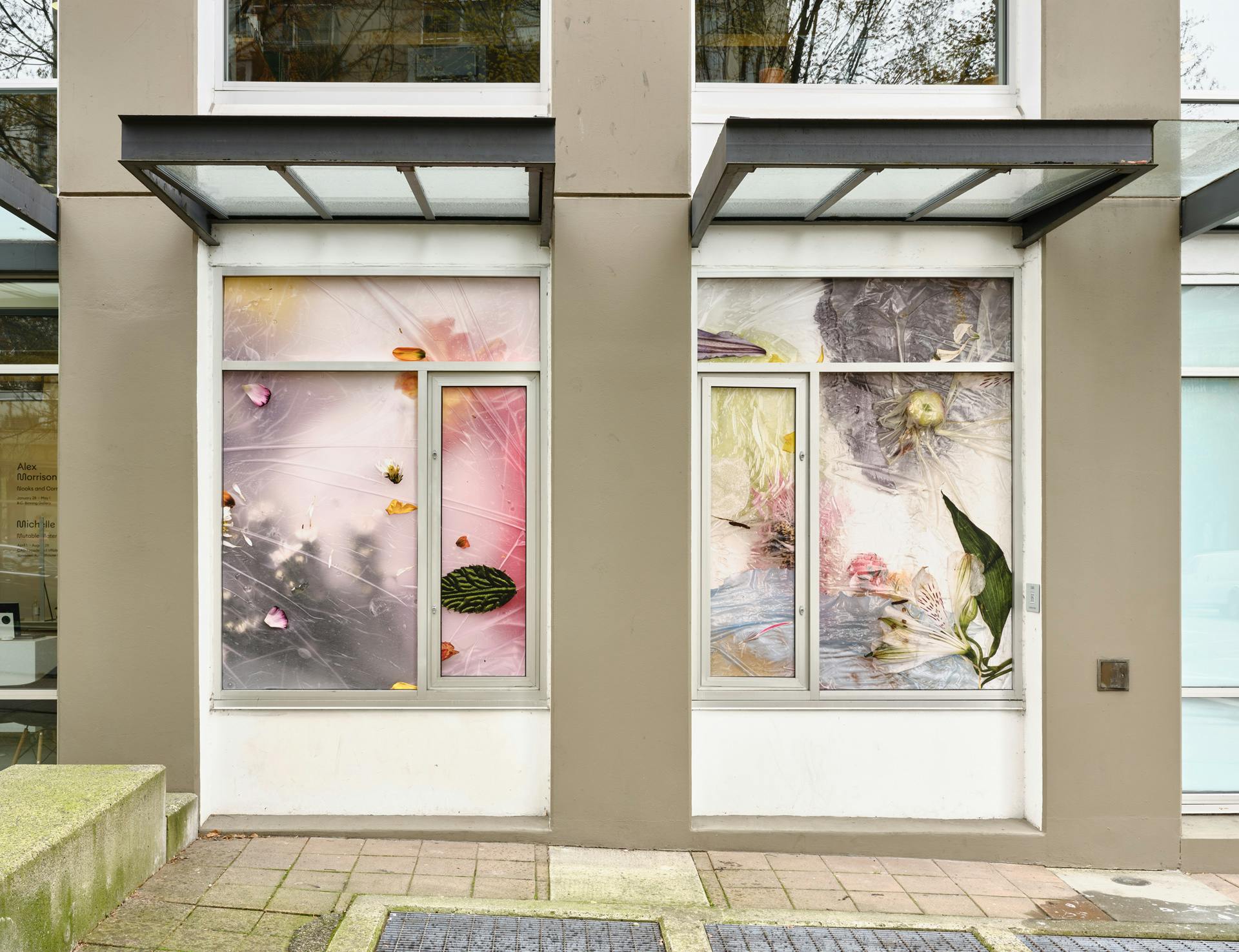 An exterior view of two of CAG’s windows covered with vinyl photographs depicting diffuse colours and indecipherable plant matter, which appear beneath a layer of wrinkled plastic film. 
