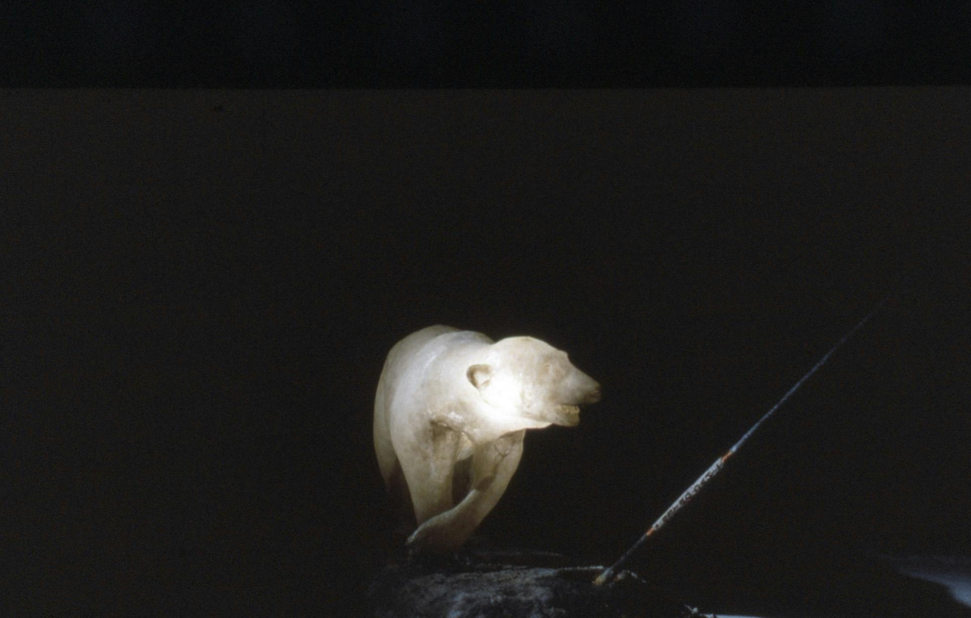 At the centre of a dark room, there is a glowing sculpture of a polar bear. A long spear with text is embedded into the rock formation it sits on. In the background, a white wall is faintly visible. 
