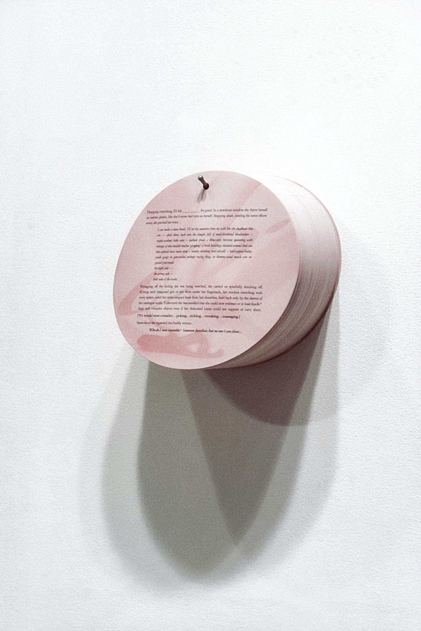 A closeup of a small stack of round, pink sheets hangs from a small metal rod in the wall. The sheets have an image faintly printed on the background and small black text on the foreground. 