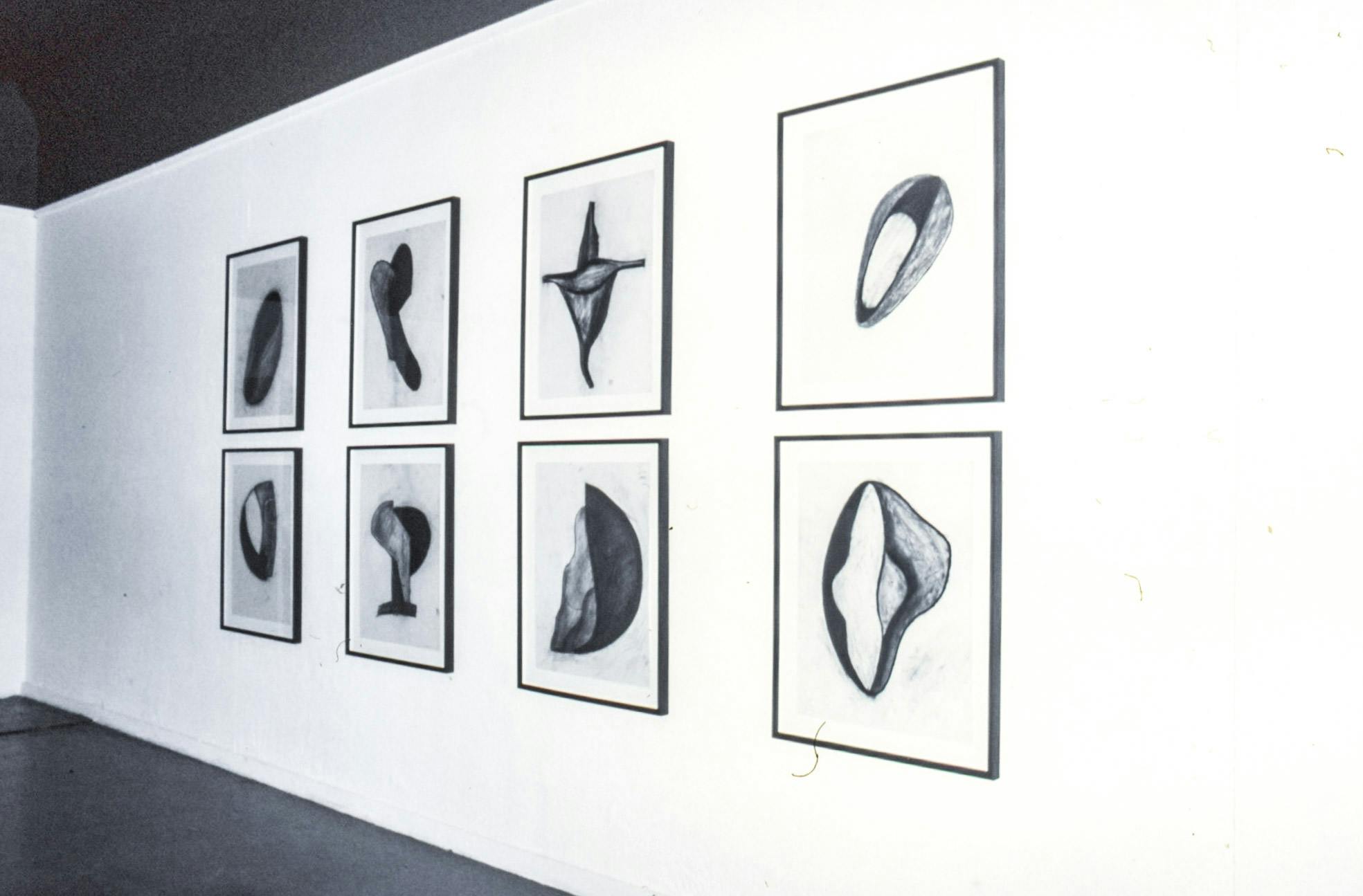 A closeup of 8 charcoal drawings in black frames, mounted on the wall of a dimly lit gallery. The drawings are abstract forms with lots of shading, resembling cornucopia, paint palettes and scrolls.