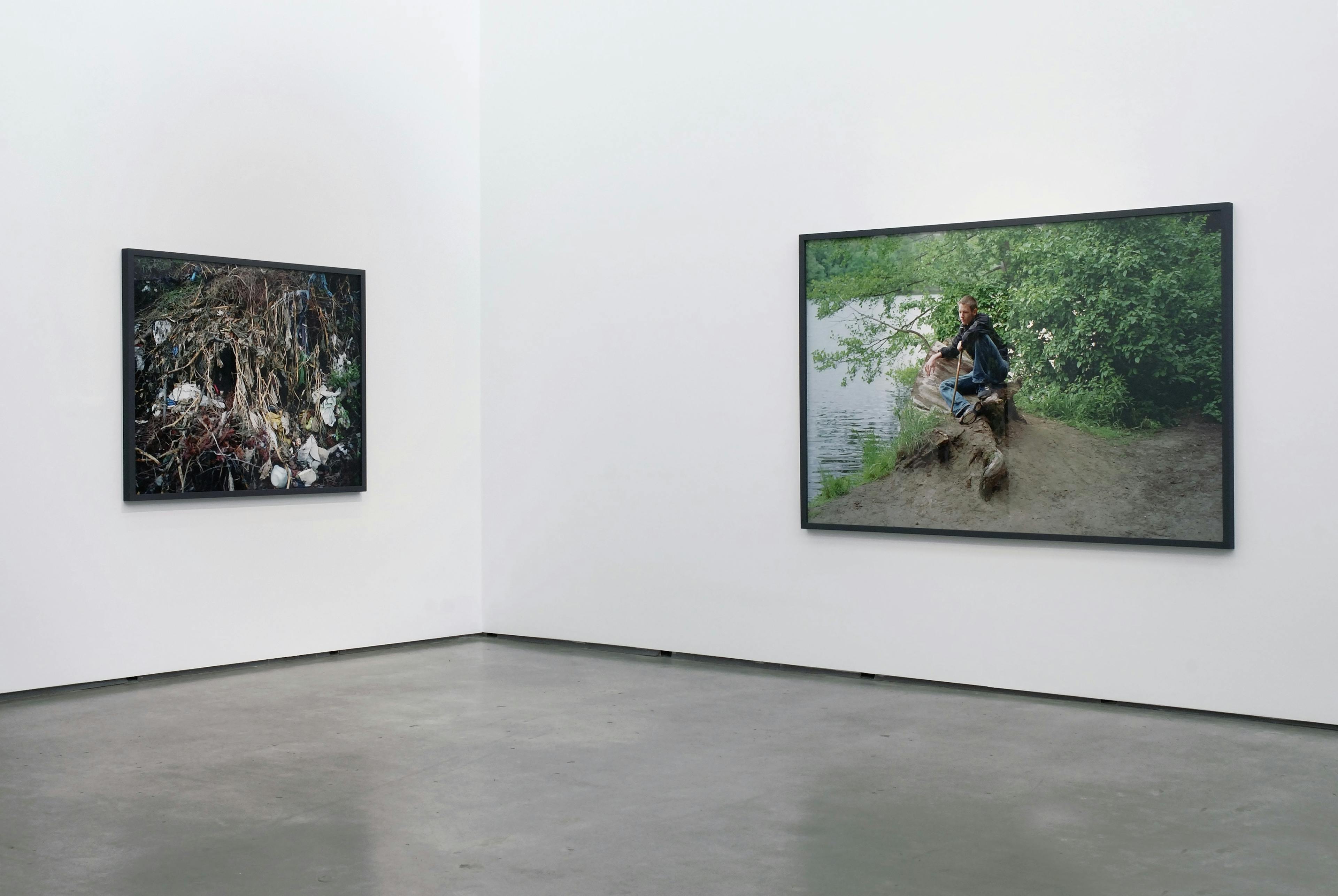 Two large scale framed photographs hang on adjacent corner walls in the gallery. One depicts tree roots covered in litter and the other a figure sitting on a tree stump near a body of water.
