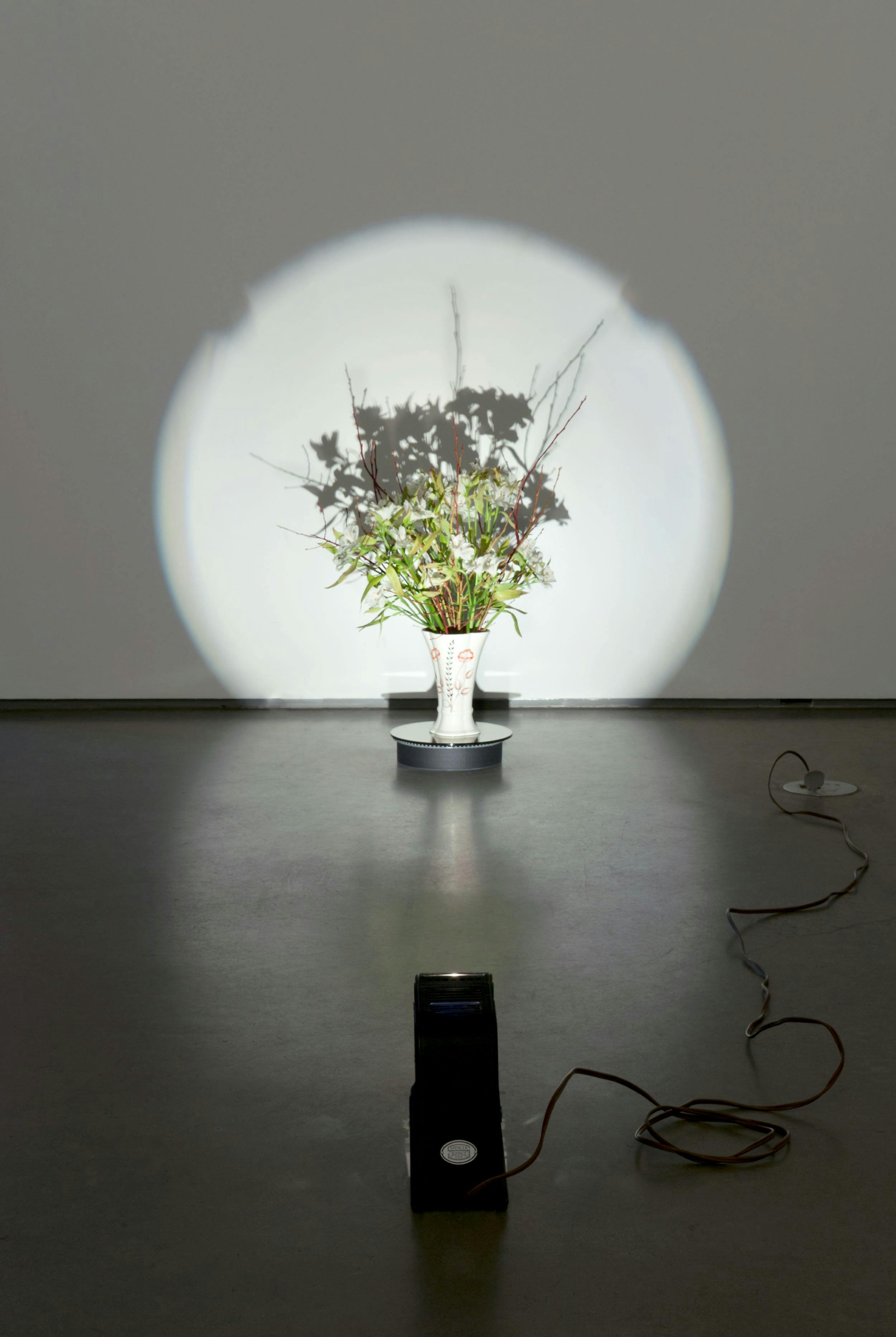 A bouquet of fresh flowers in a white ceramic vase on the floor of a gallery. A spotlight on the ground illuminates the bouquet, casting a stark shadow on the wall behind.