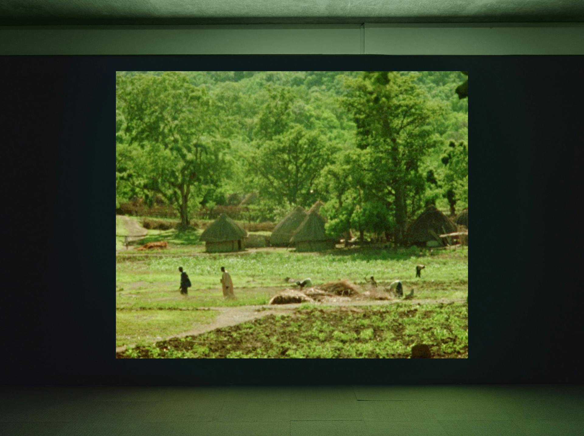 A video on a wall in a dark room depicting a lush green landscape.