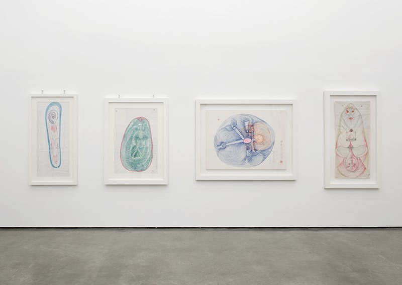 Four, framed coloured drawings mounted on a gallery wall. The drawn figures resemble microbes with soft round forms in green, blue, and orange. Their bodies look semi transparent.