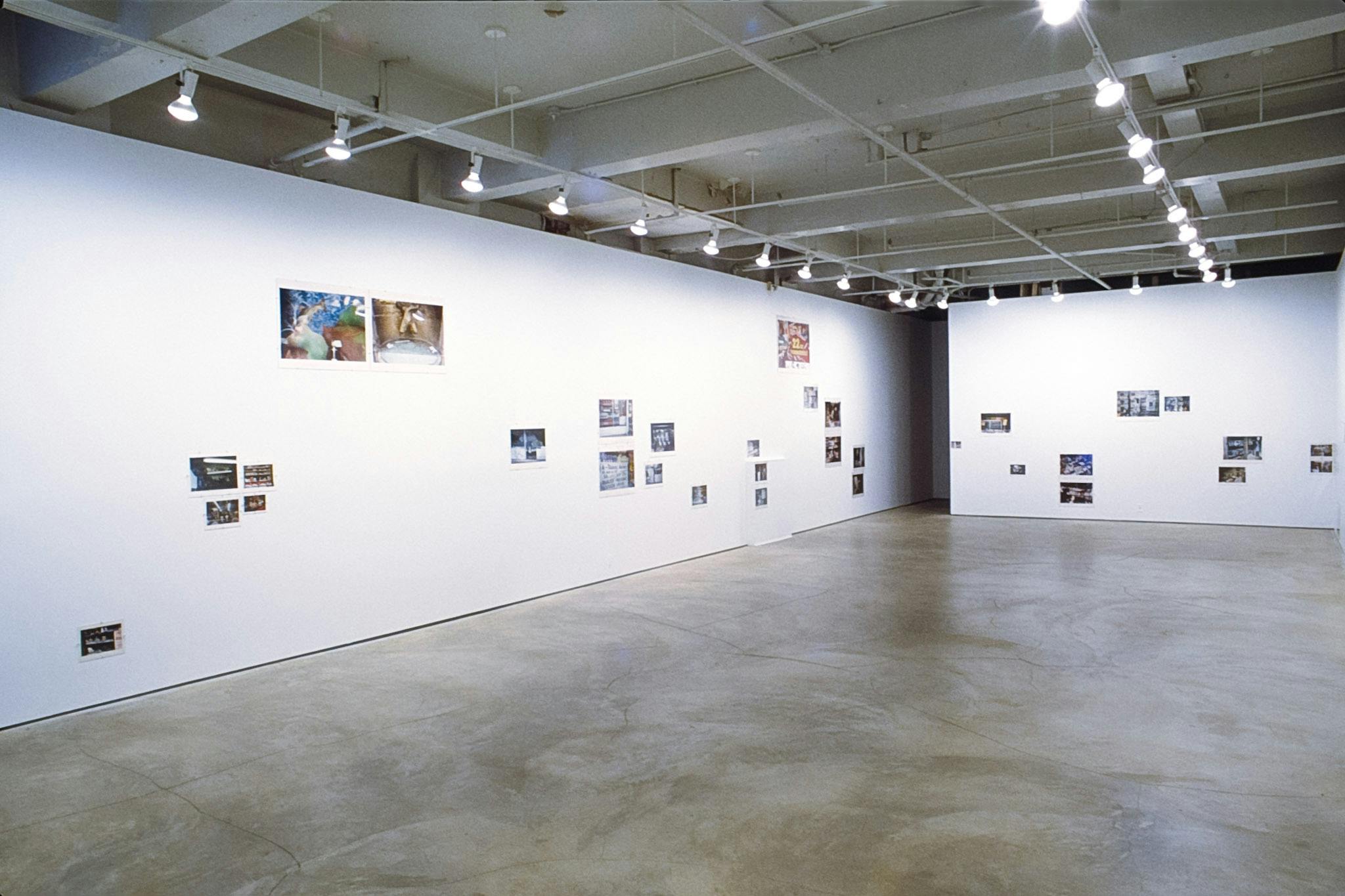 Many coloured photographs of various sizes are displayed on gallery walls. The photographs are roughly grouped by the subject matter. Some are vertically aligned, and pairs are placed side by side.