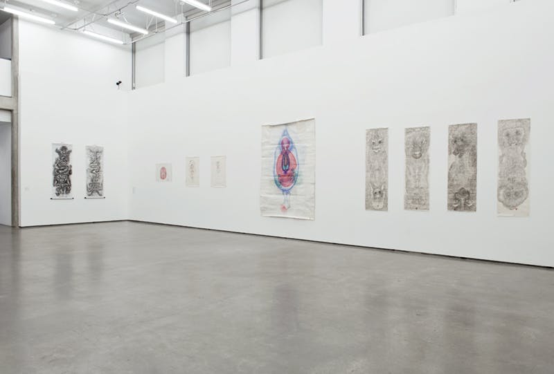 Six, black and white drawings resembling dragon-like faces on long, narrow paper installed on gallery walls. A blue and pink, large-scale drawing with three smaller drawings interrupts the row of drawings.