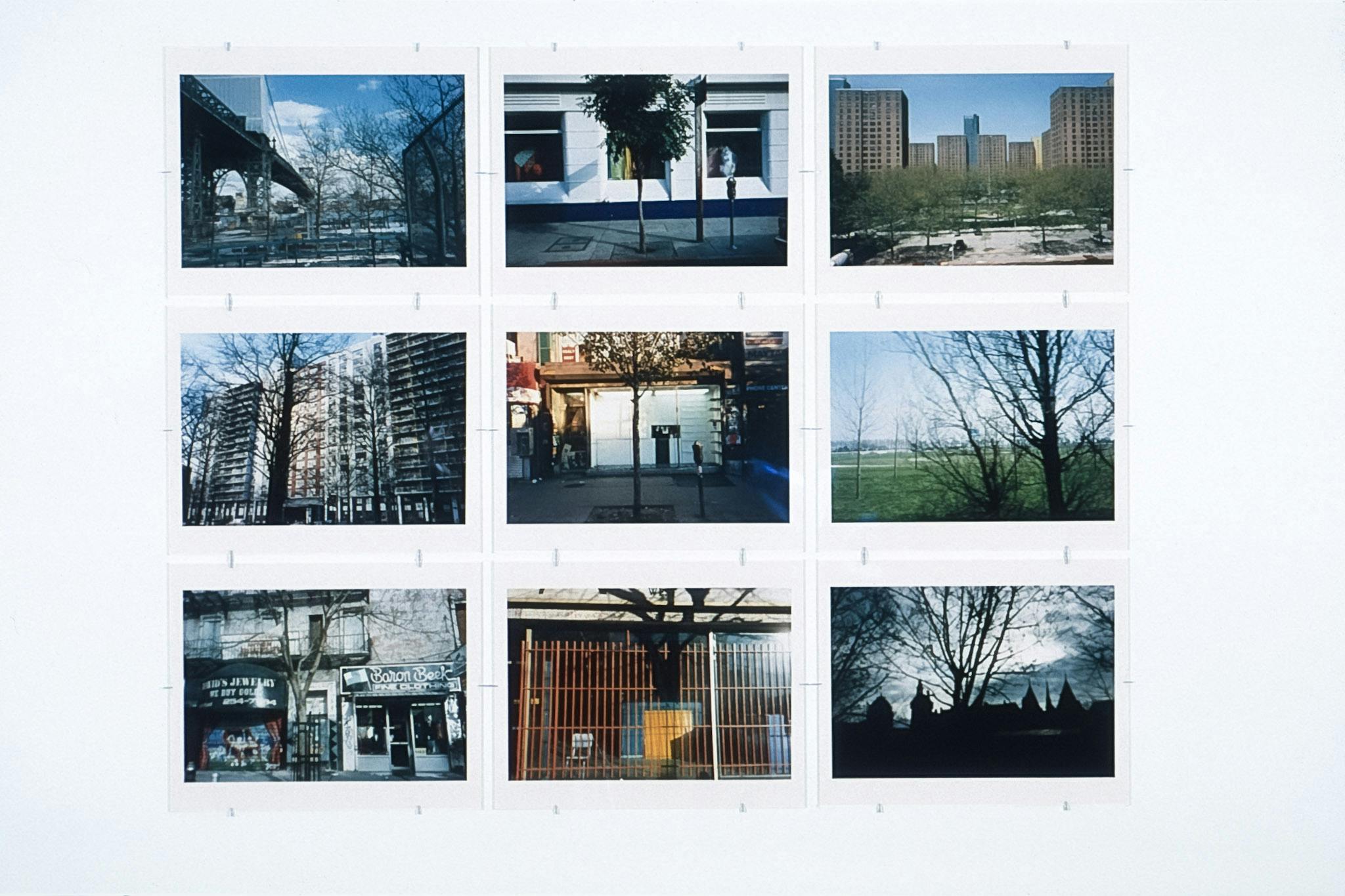 Nine photographs are installed on a white gallery wall. They, placed three by three, are street photographs. Some of the images include bear trees in front of buildings. 