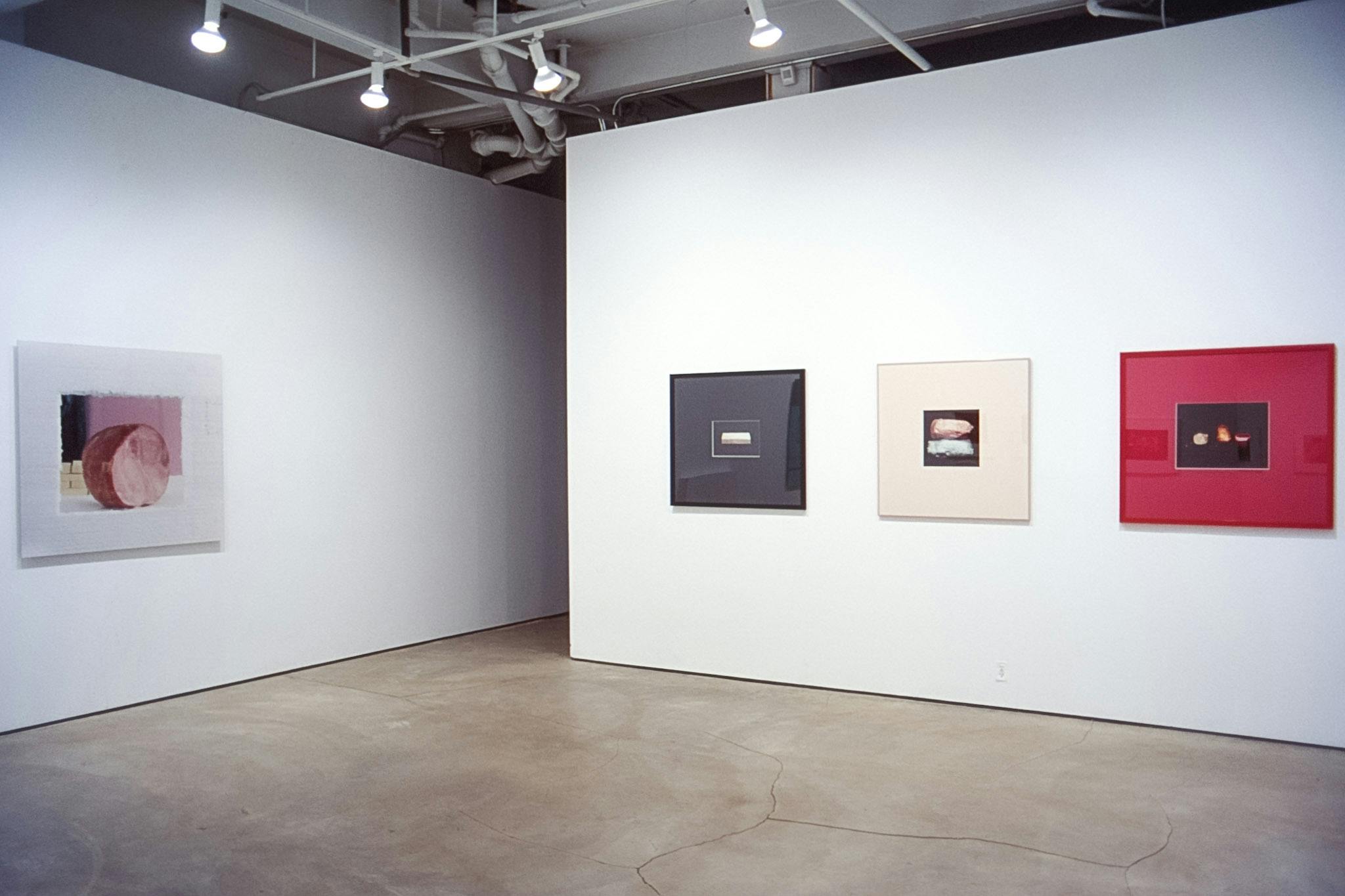 Four two-dimensional artworks are installed on the gallery walls. Coloured photographs of objects are mounted on the right-hand wall, and the white framed piece ​on the left is a photo of a ham.