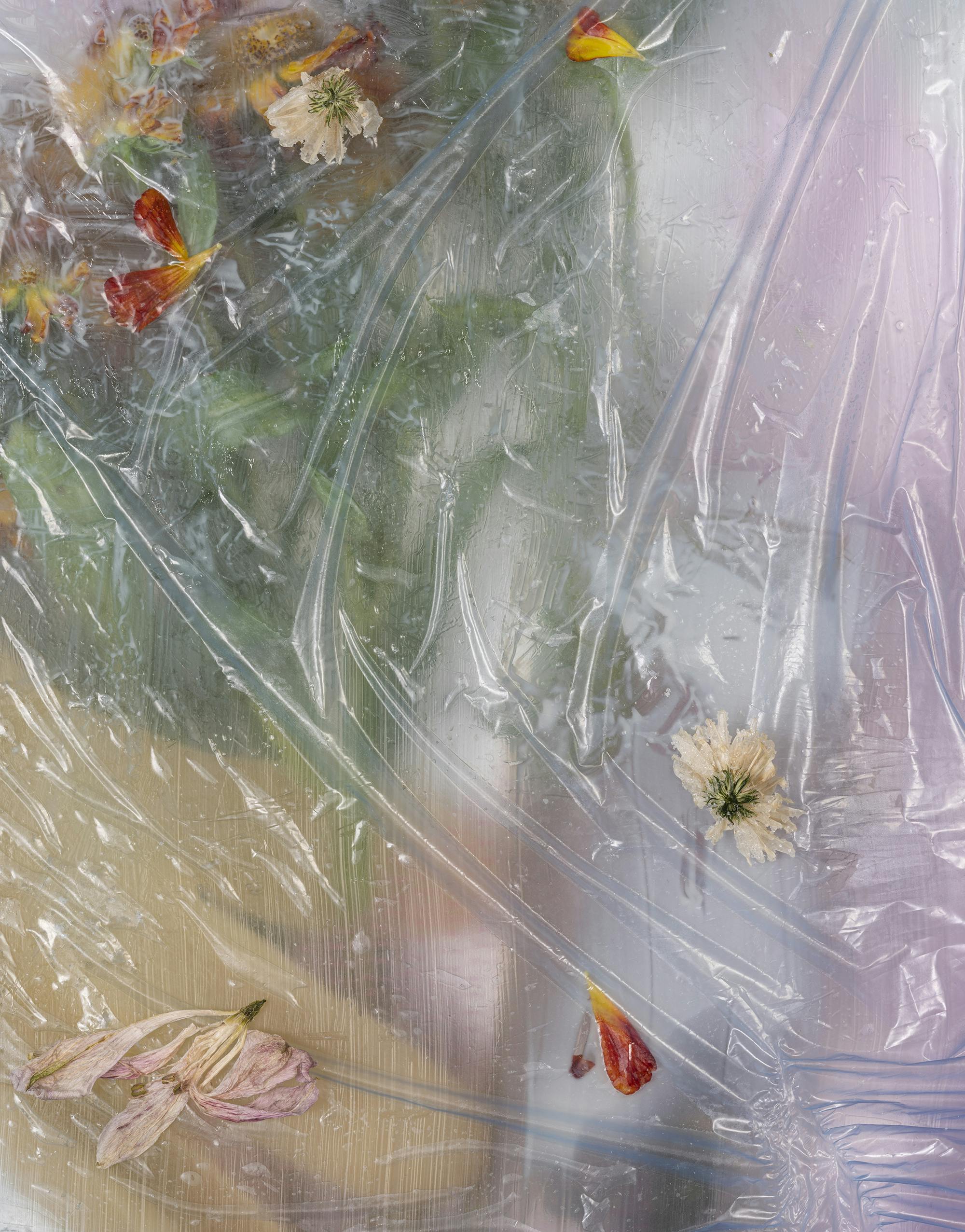 A photographic work by Michelle Bui. Diffuse colours and indecipherable plant matter appear beneath a layer of wrinkled plastic film. Sparse flowers and petals are sprinkled across the picture plane.