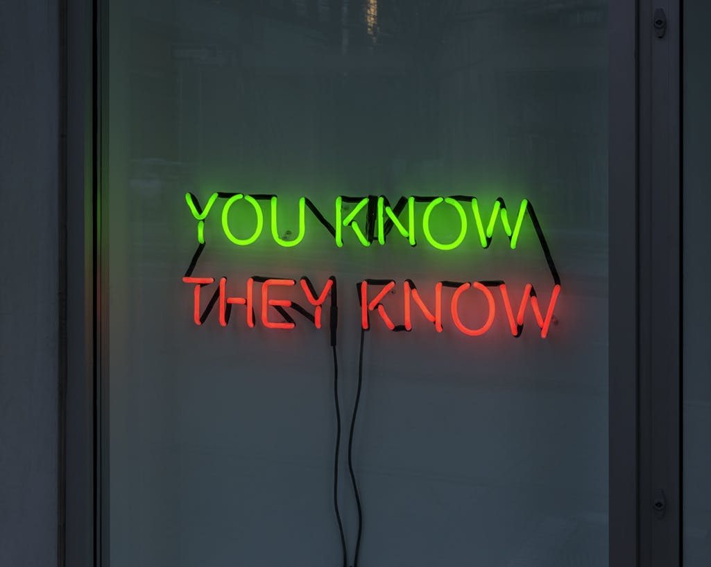 Detail image of a Tim Etchell neon text work installed in CAG’s facade windows. The text reads “YOU KNOW” in green light and “THEY KNOW” in orange light.